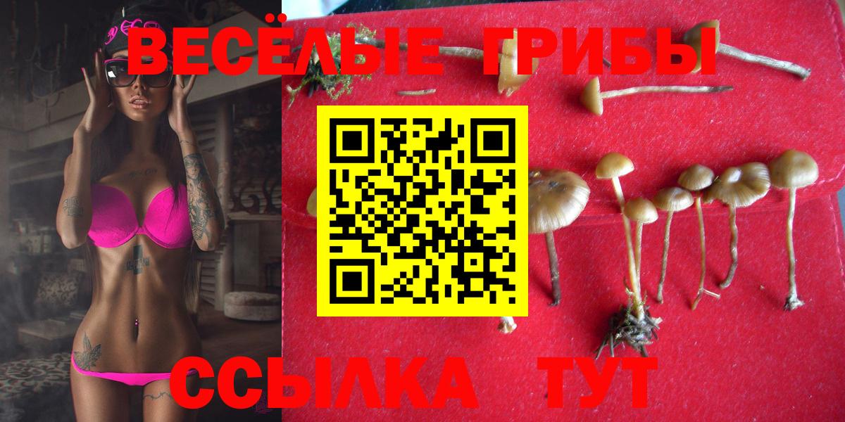 Псилоцибиновые грибы MAGIC MUSHROOMS Кыштым
